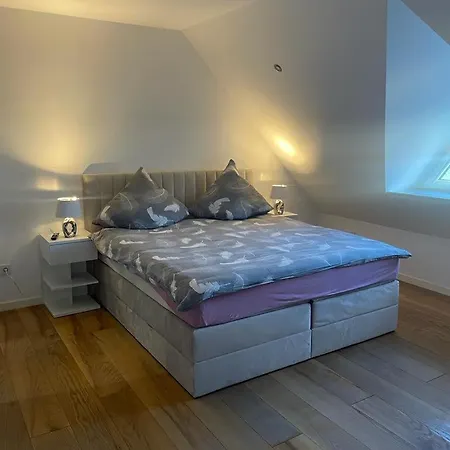 Appartamento Bobenheim-roxheim- Modern Und Luxurious Bobenheim-Roxheim