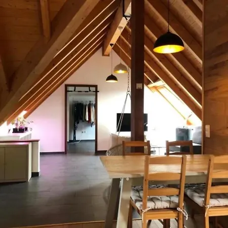 Appartamento Bobenheim-roxheim- Modern Und Luxurious