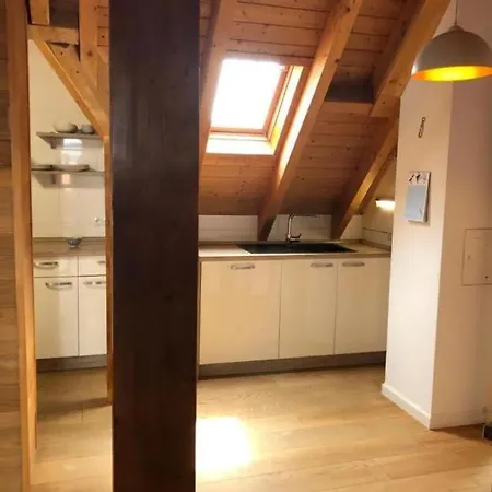 Appartamento Bobenheim-roxheim- Modern Und Luxurious